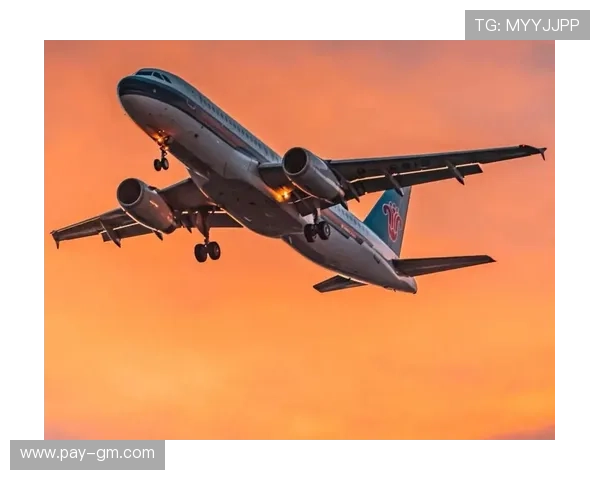 尤文图斯归途艰难机场跑道结冰导致多次航班延误